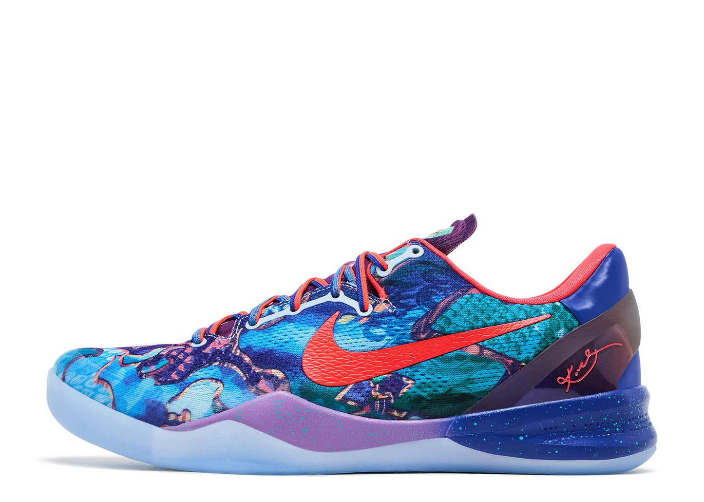 Kobe 8 Protro What The Kobe 2025